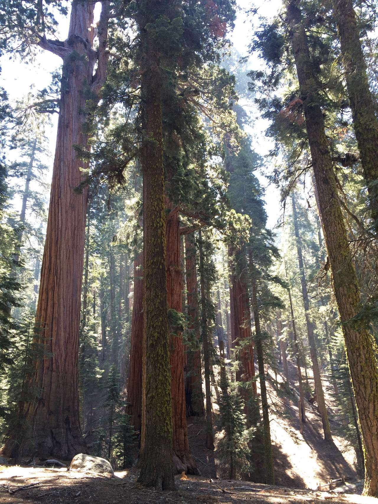 South Fork Campground
