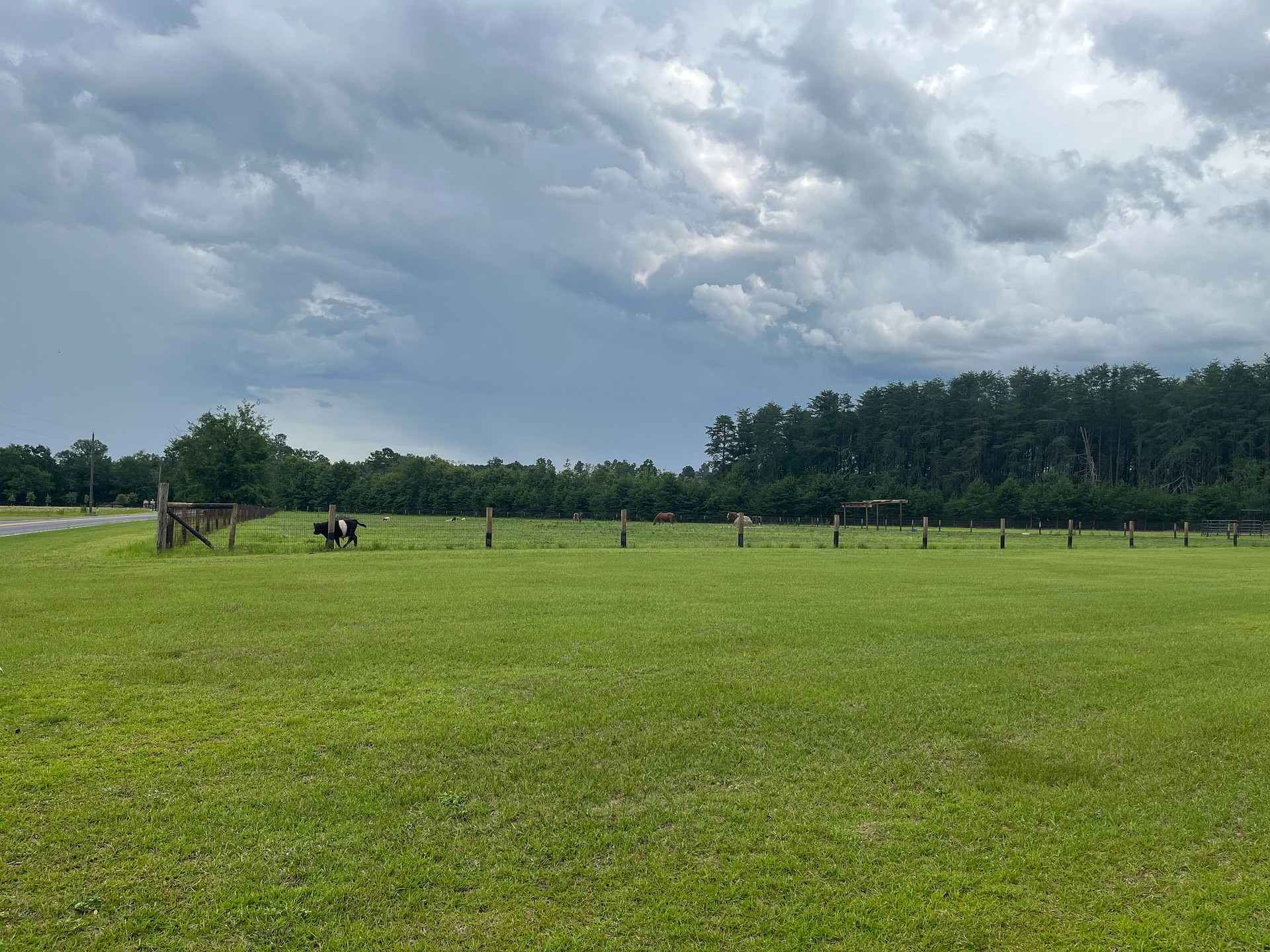 Burcalo Creek Farms