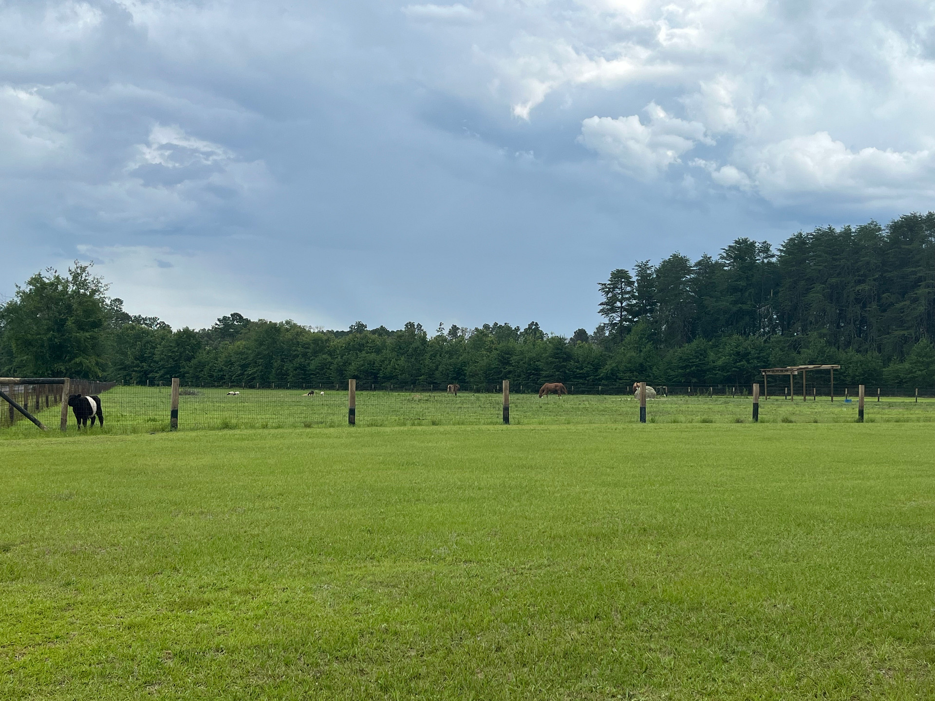 Burcalo Creek Farms