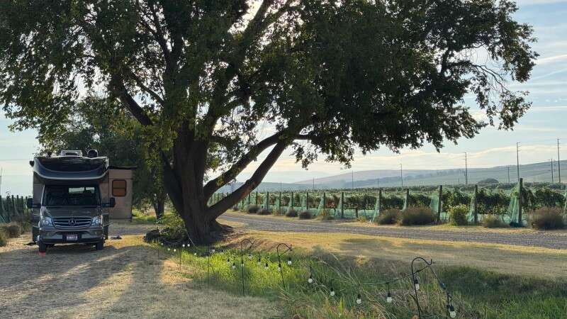Windrow Estate Winery