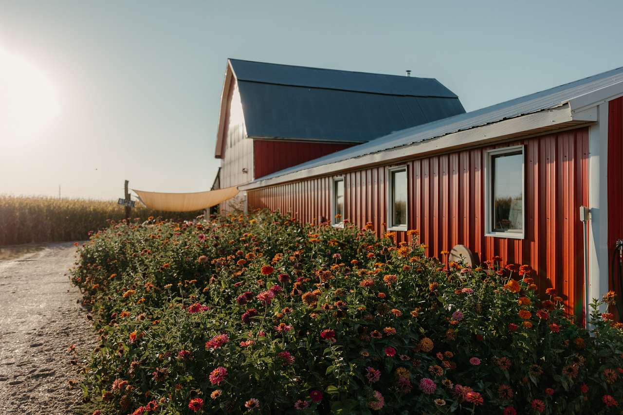 Aunt Annie's Flower Farm & Merc.