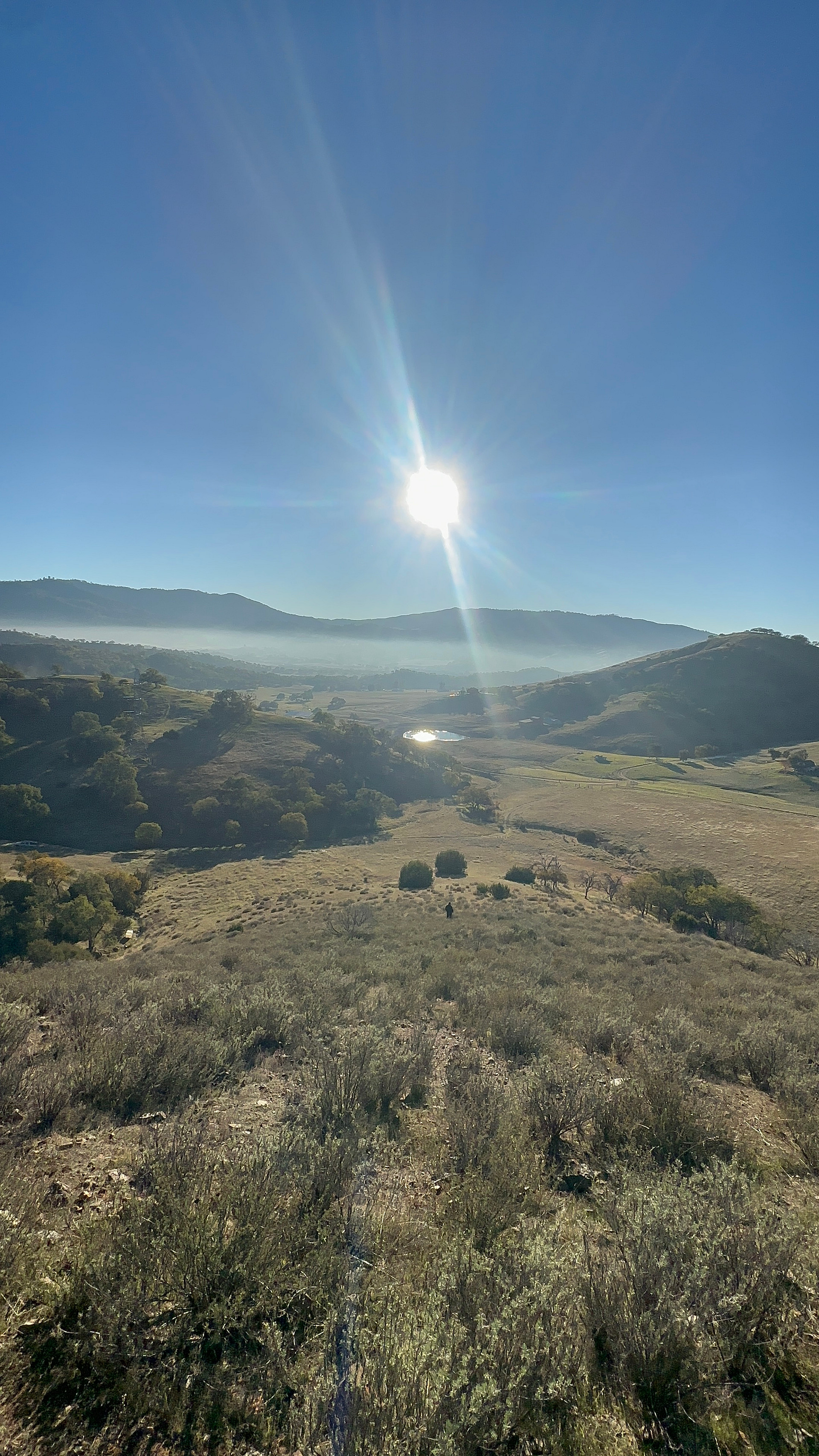 Golden Sky Retreat
