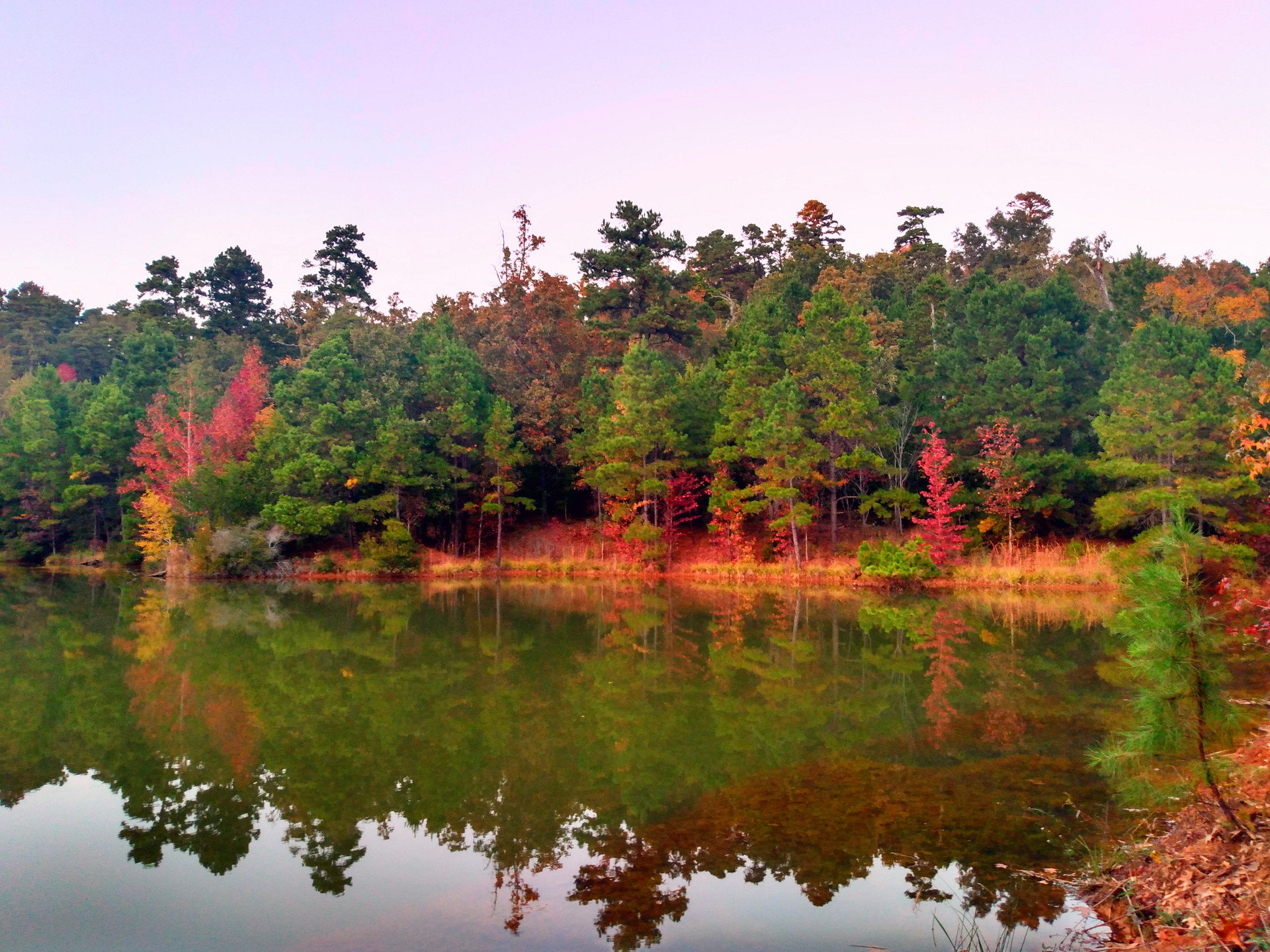 Fishing pond on the property, with trails surrounding. 