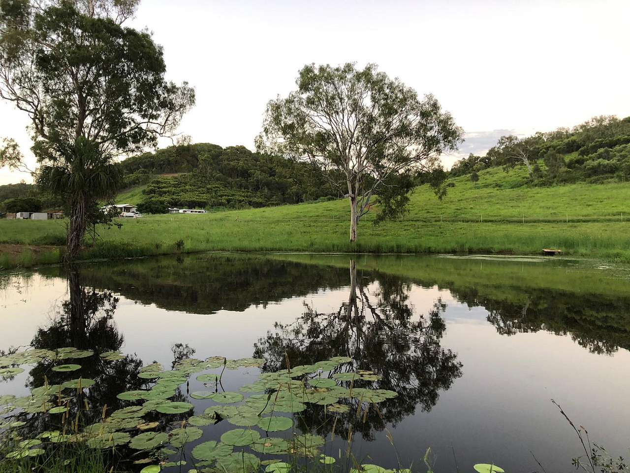 High Valley Dawn Farmstay Camping