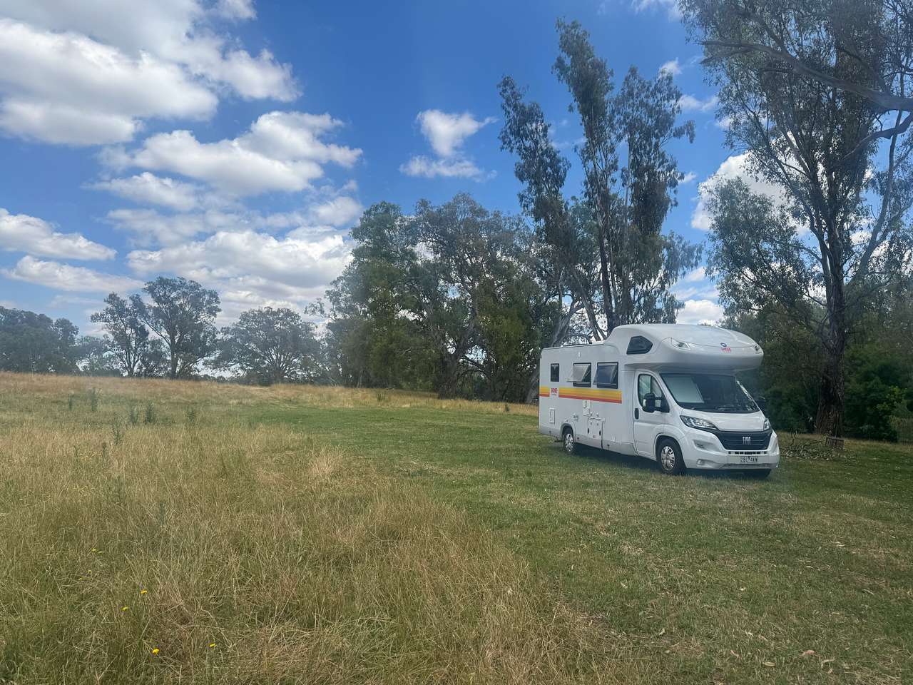 22" camper van—level site, grassy, and lot's of good shade.