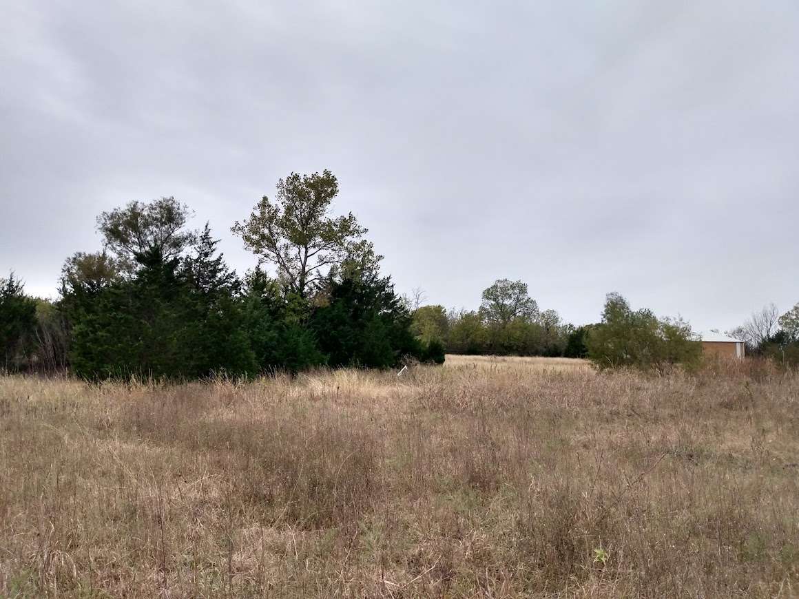 Nob Hill Meadow