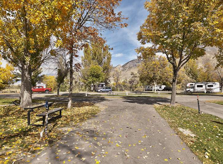 Roam Springville