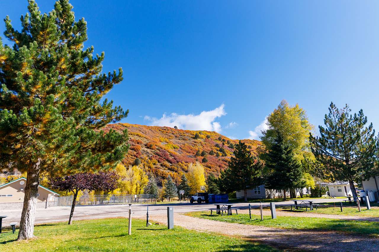 Roam Uinta
