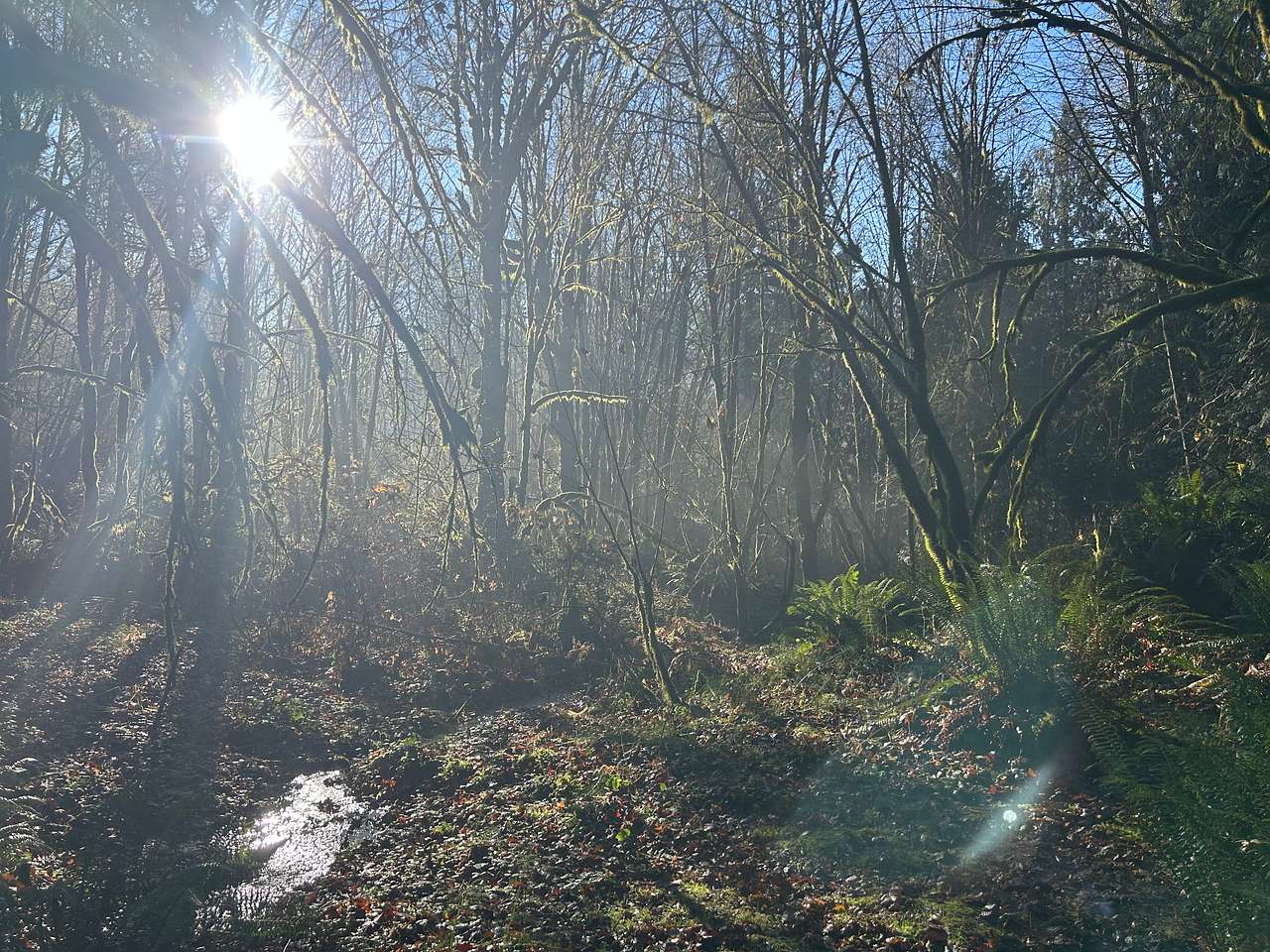 Gorgeous even in the middle of winter 