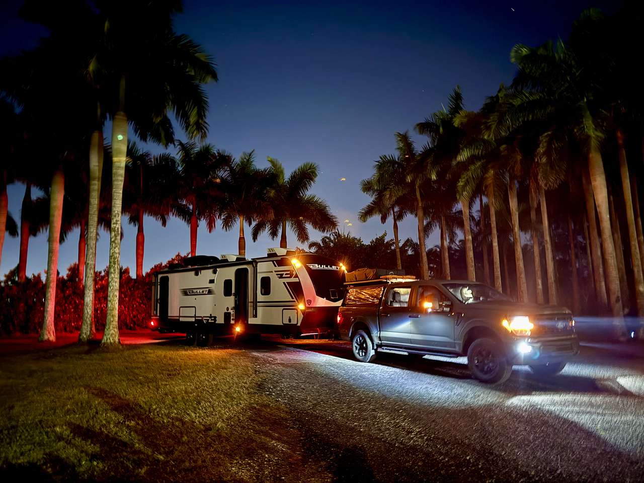 Redlands Palmgrove