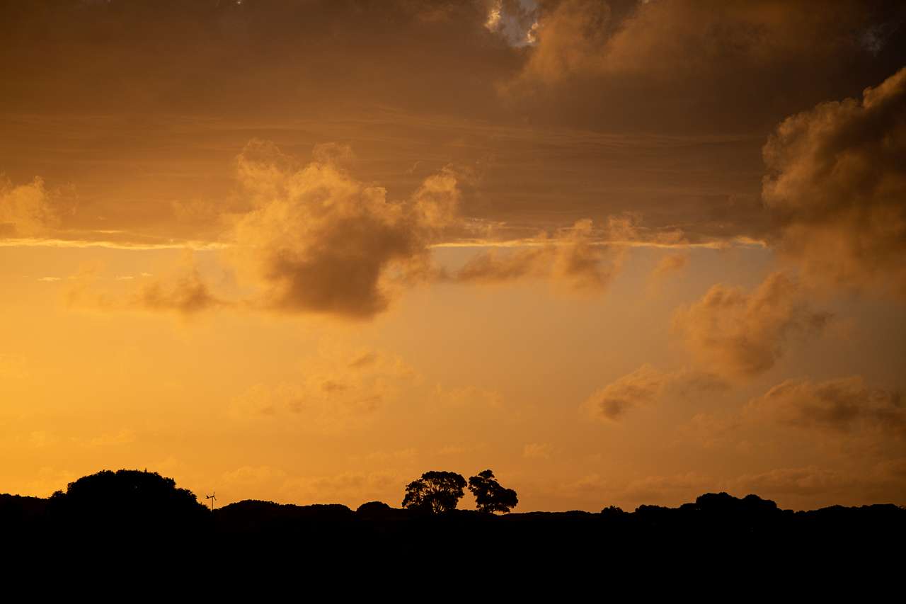 Sunsets are pretty amazing :)