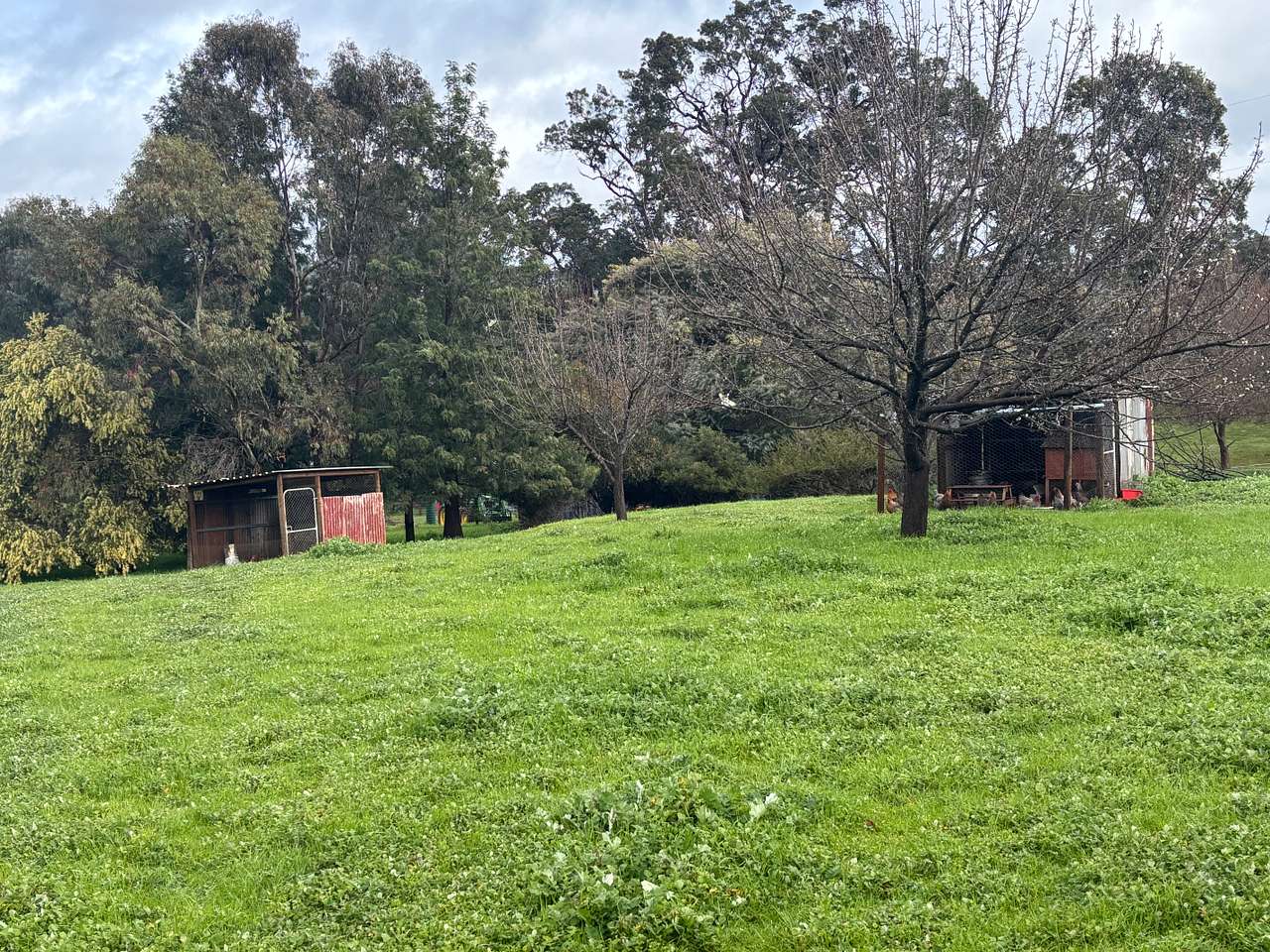 Bunyip Meadows