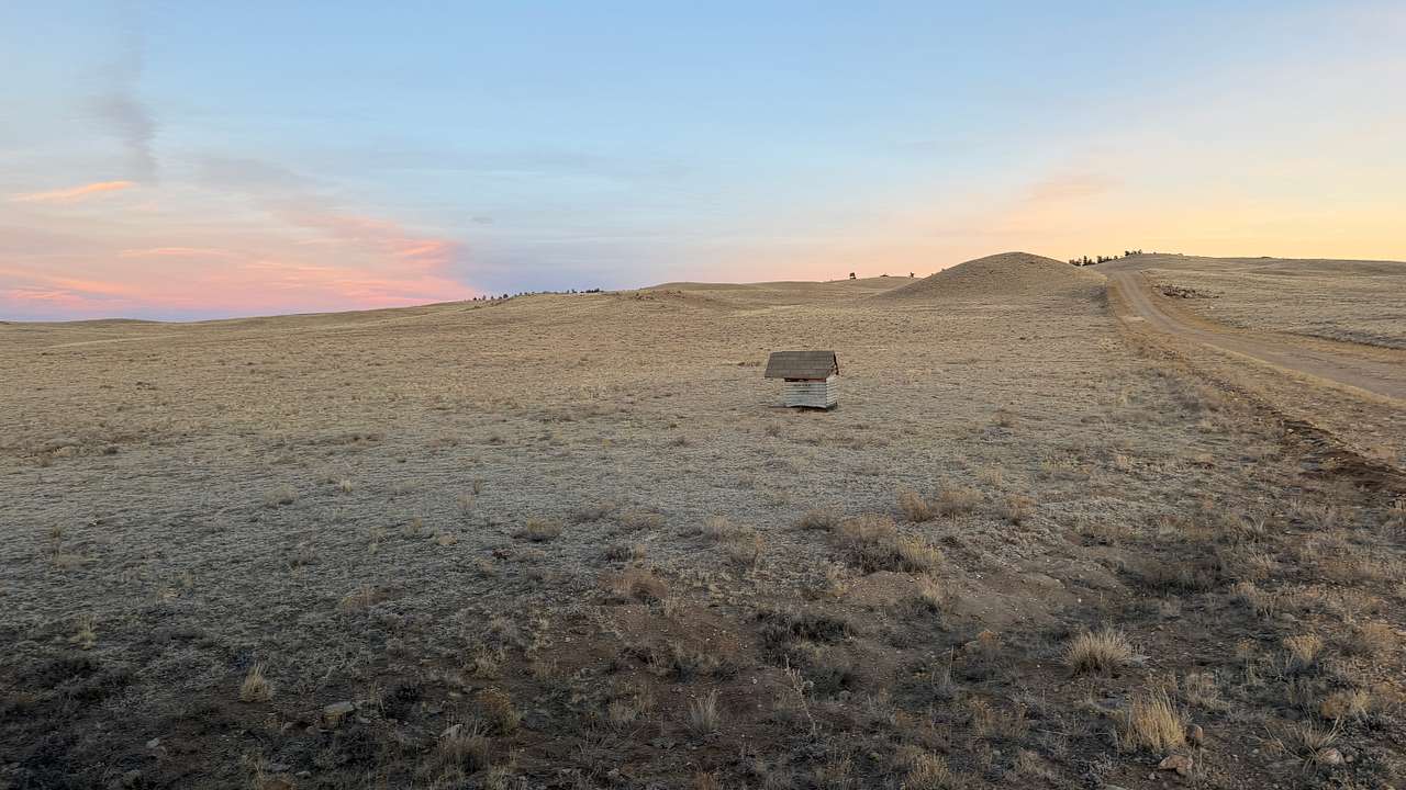 DeD Tick Ranch