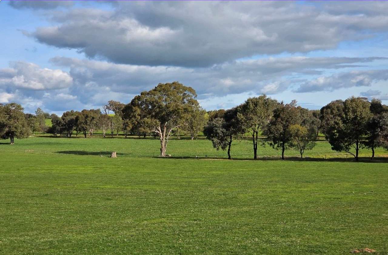 Yaralla