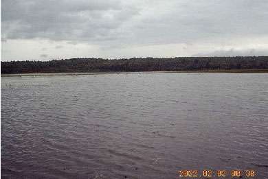 Long Pond Camps And Guide Service