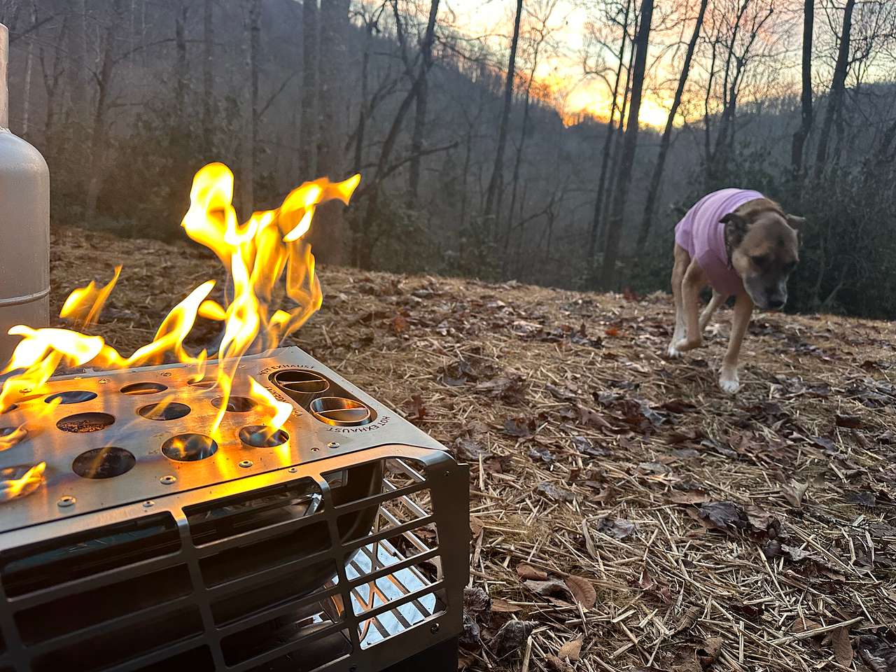 Black Mountain Hideaway