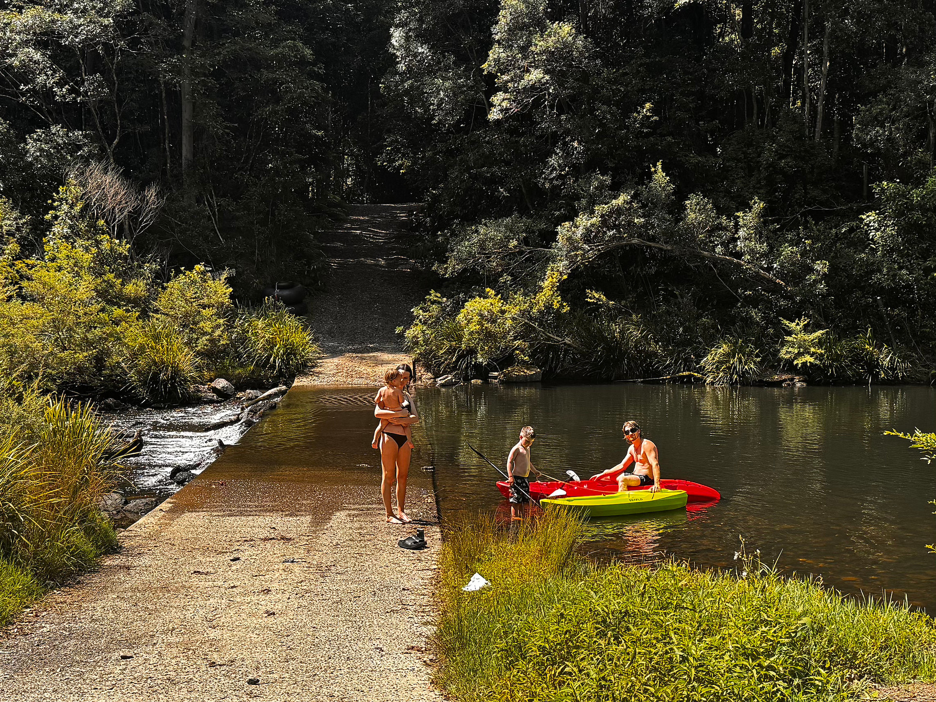 Frog Hollow Rainforest Camping
