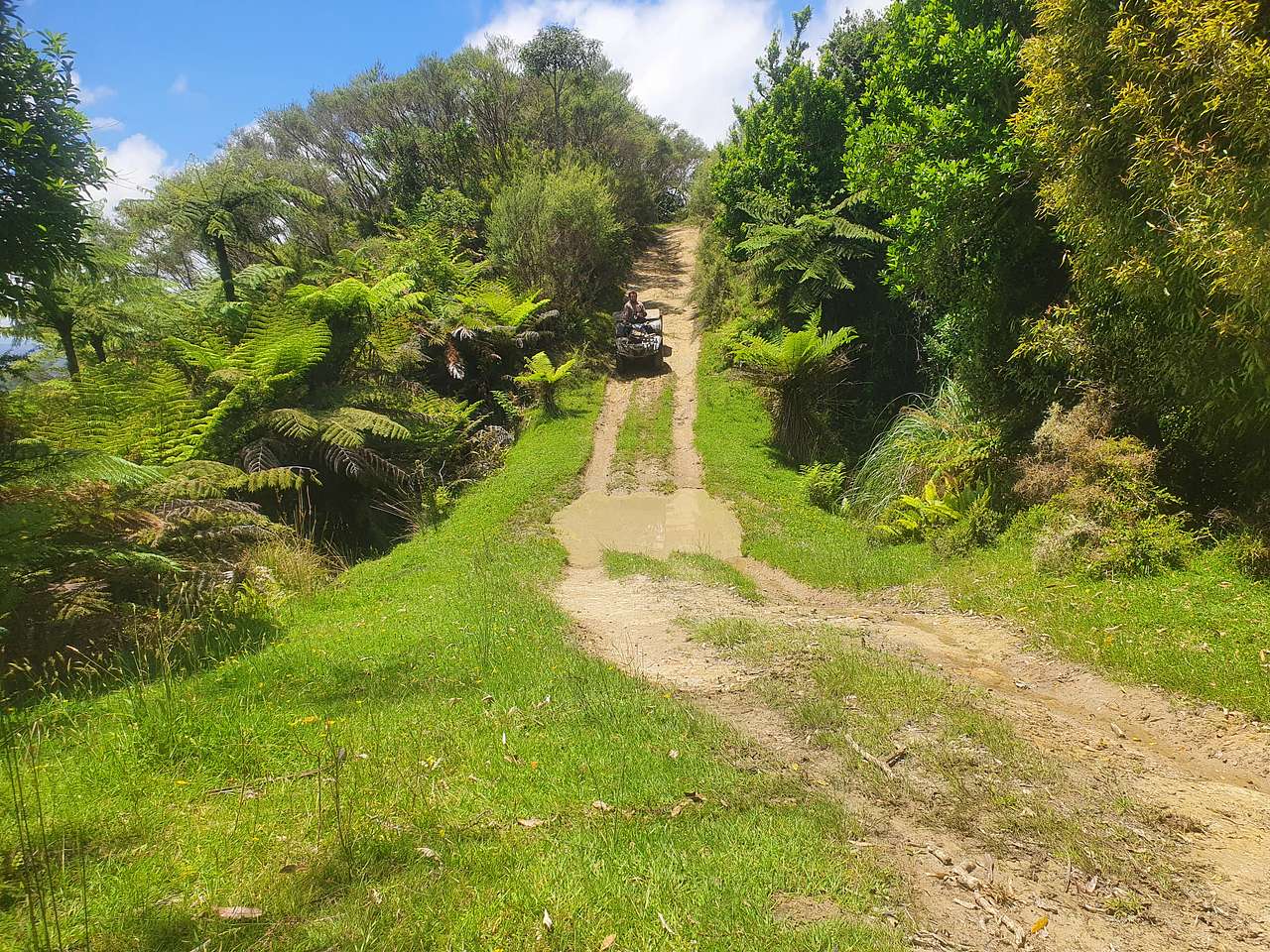 Meremere Road Track