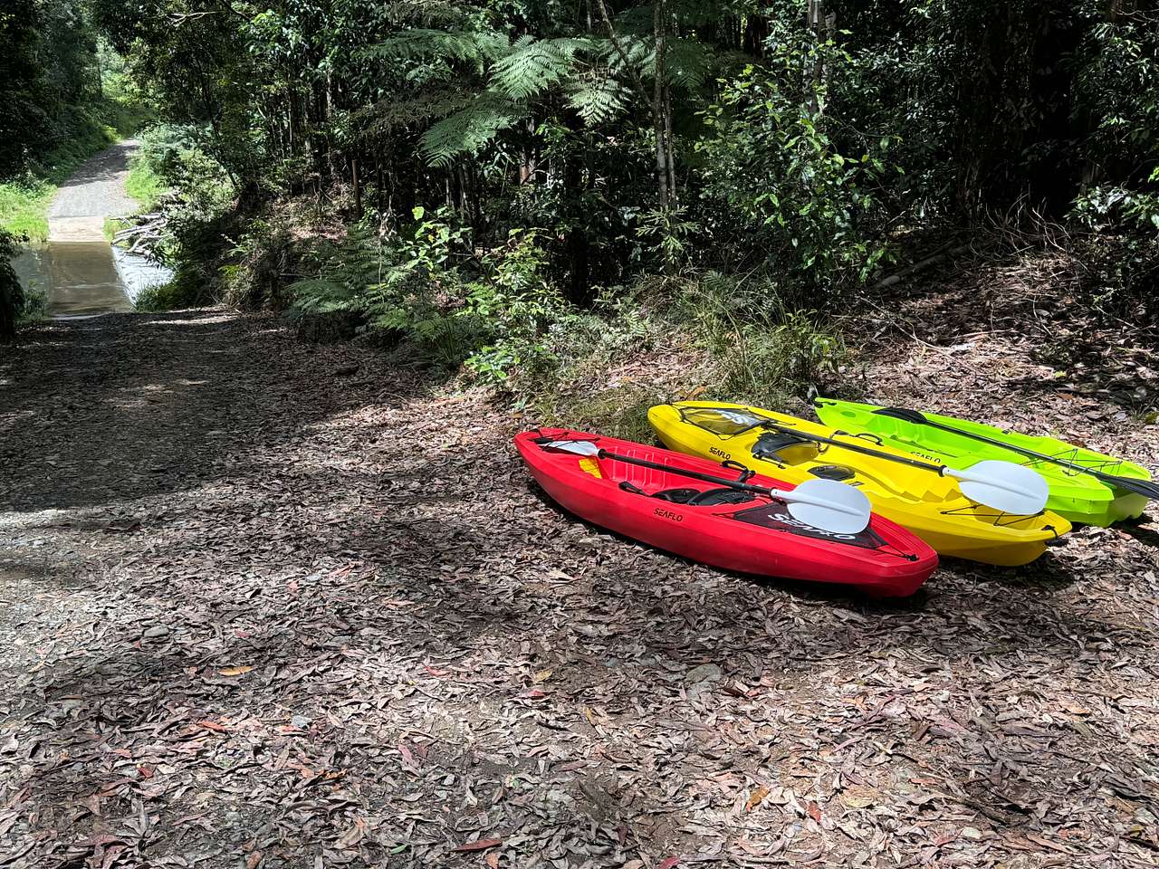 Frog Hollow Rainforest Camping