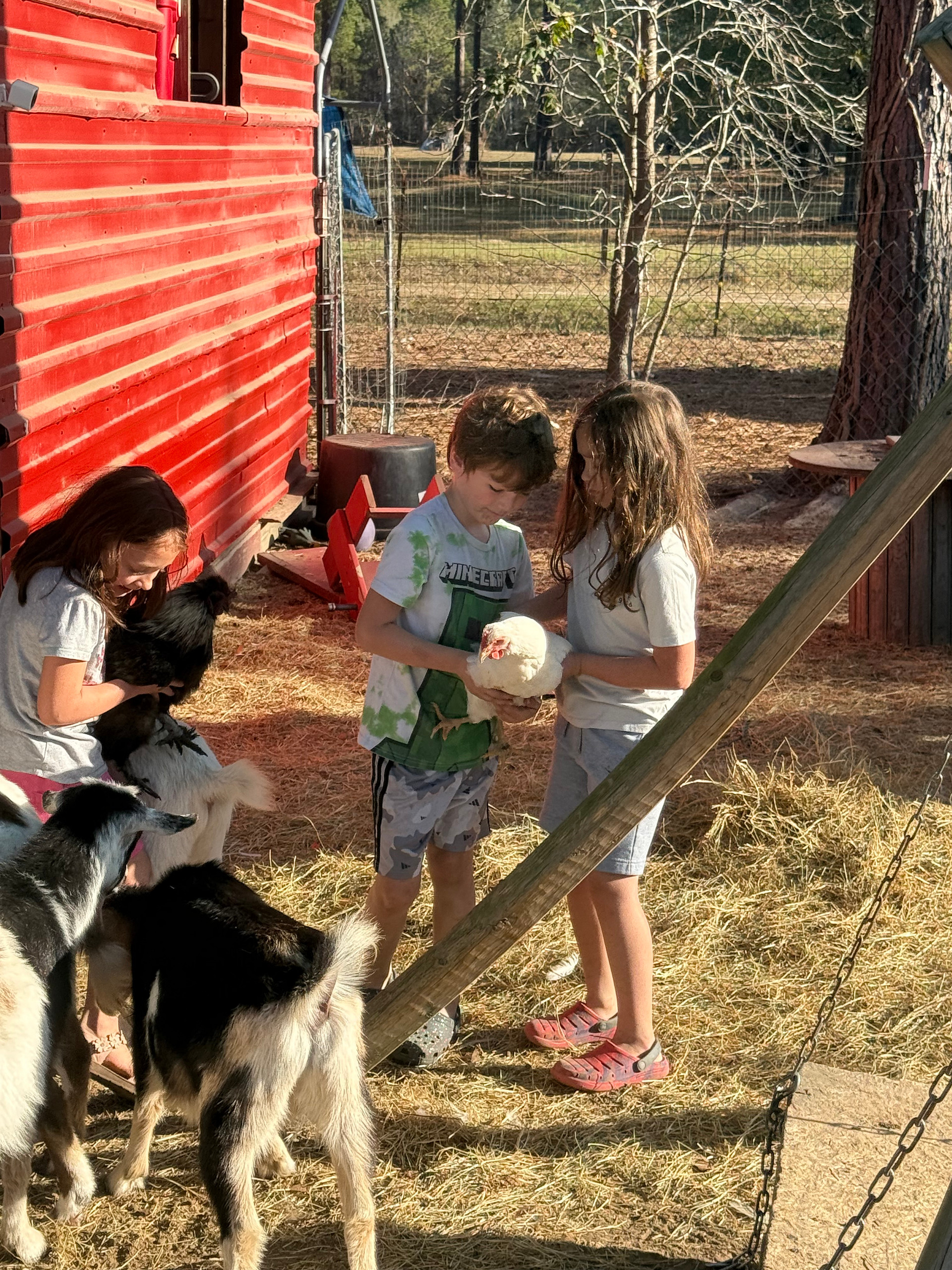 Big City Little Farm