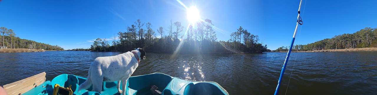 Serenity