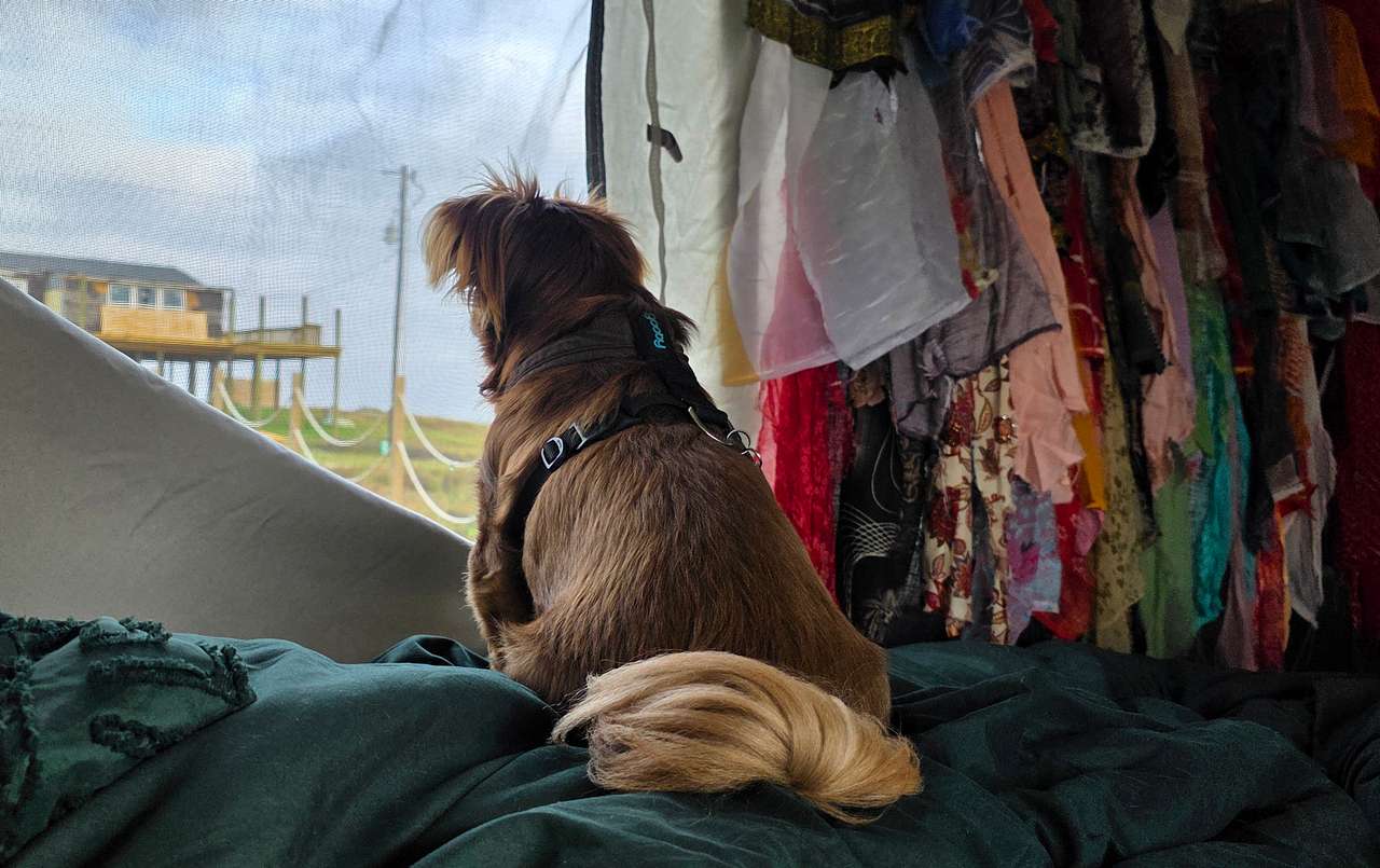 Window is the back property view