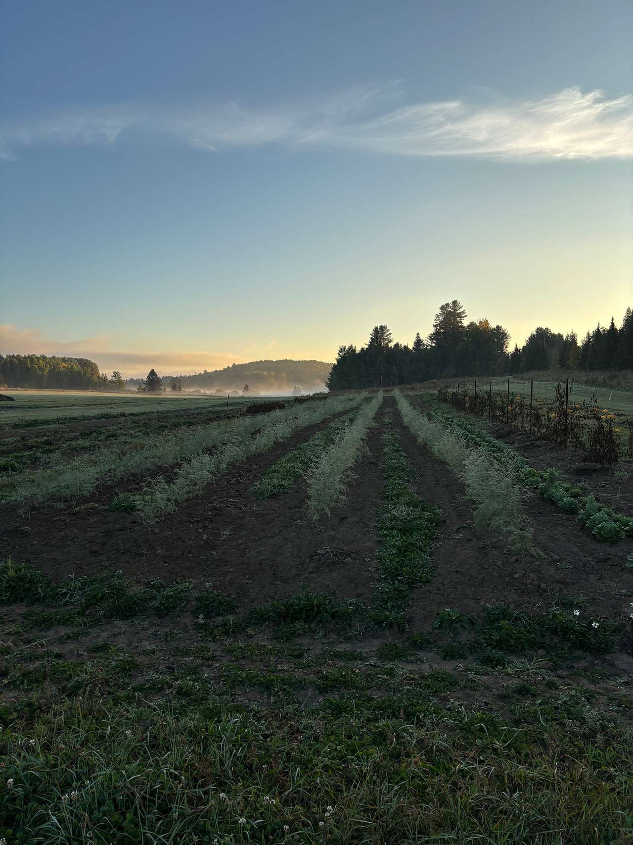 Peddler's Passage Farm & Stay