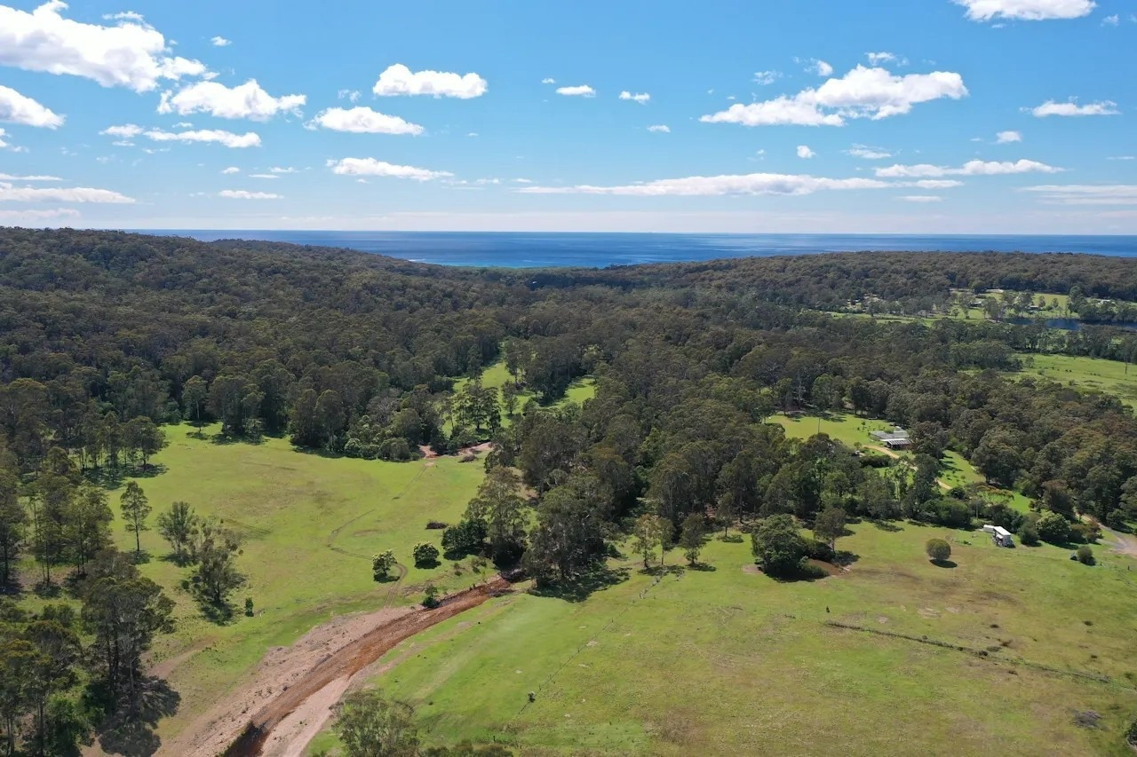 2. Creekbank in the foreground, 3. Big paddock on the left, a glimpse of 6. Wombat Way and %. Secluded Amphitheatre further in.