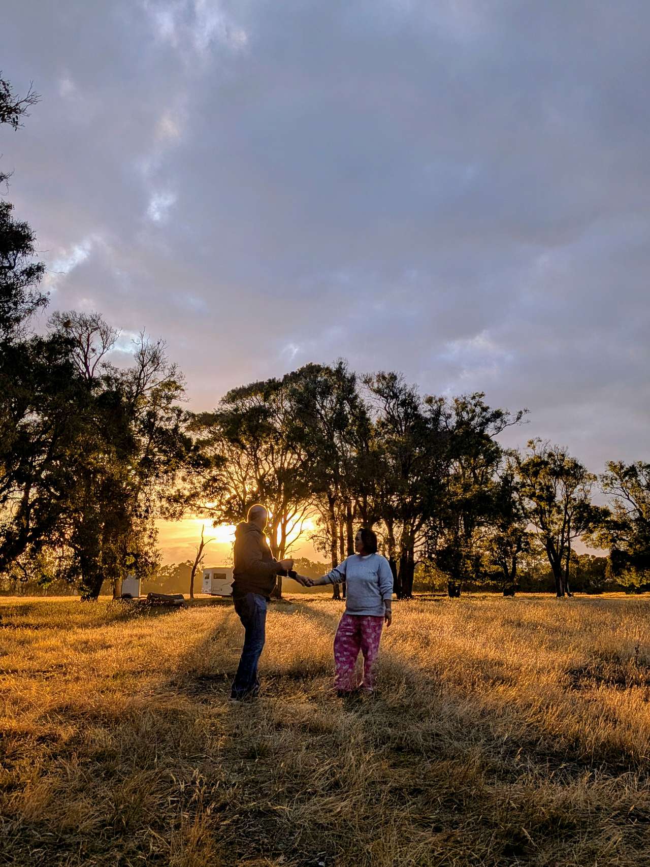 Forest camping