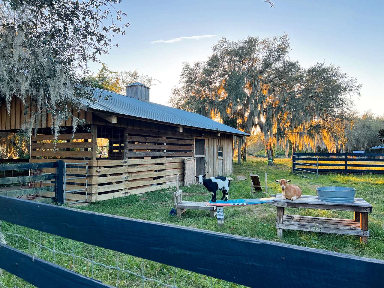 Wildlings Farm + Folk