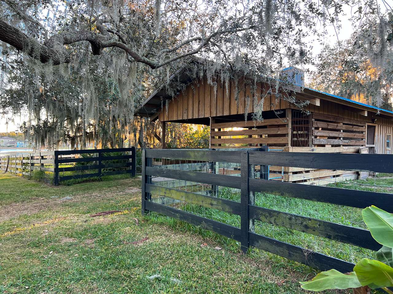 Wildlings Farm + Folk