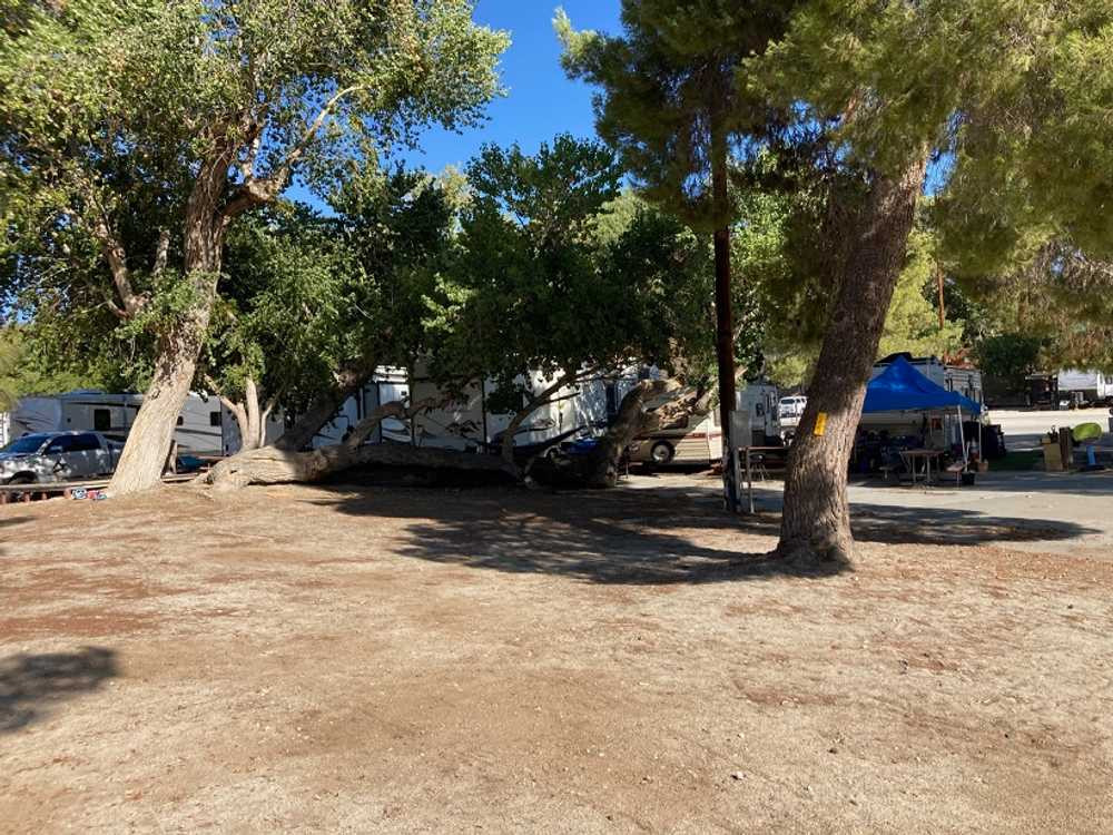 Action Camp LA RV Resort