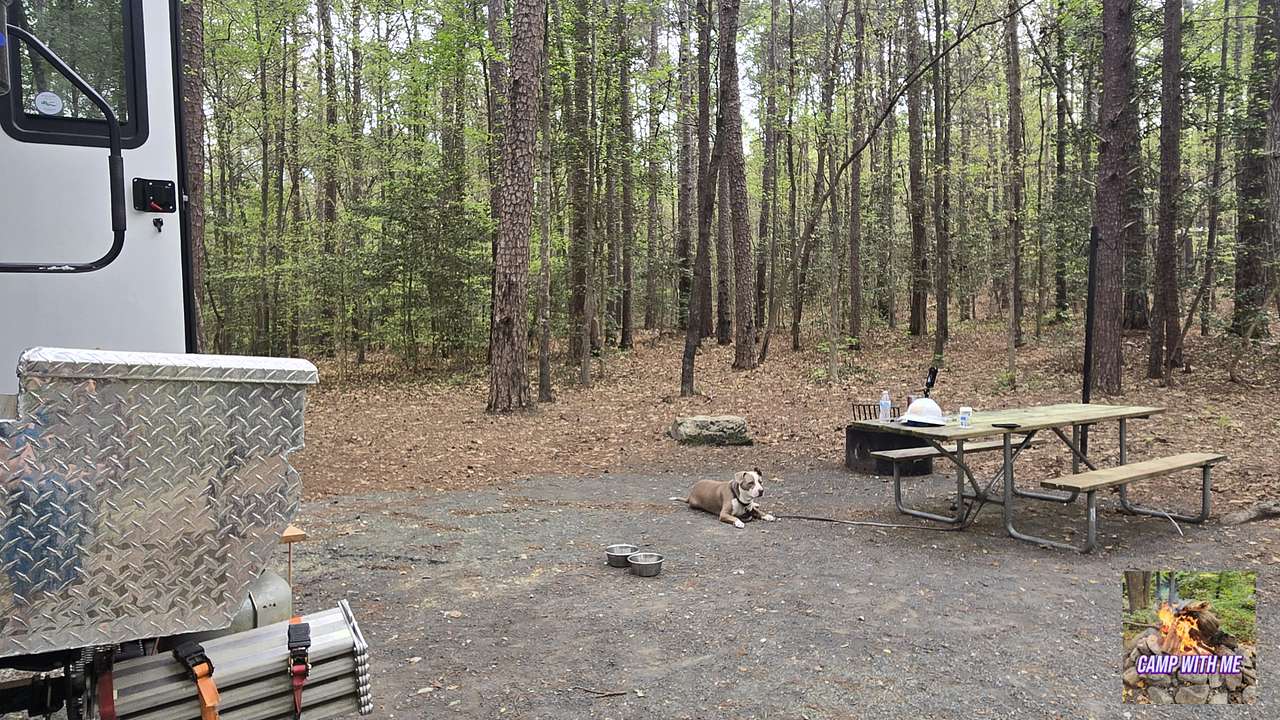 West Morris Mtn. Campground