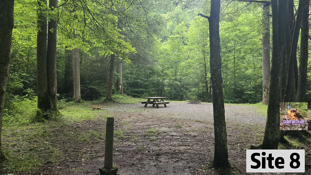 Cranberry River Sites