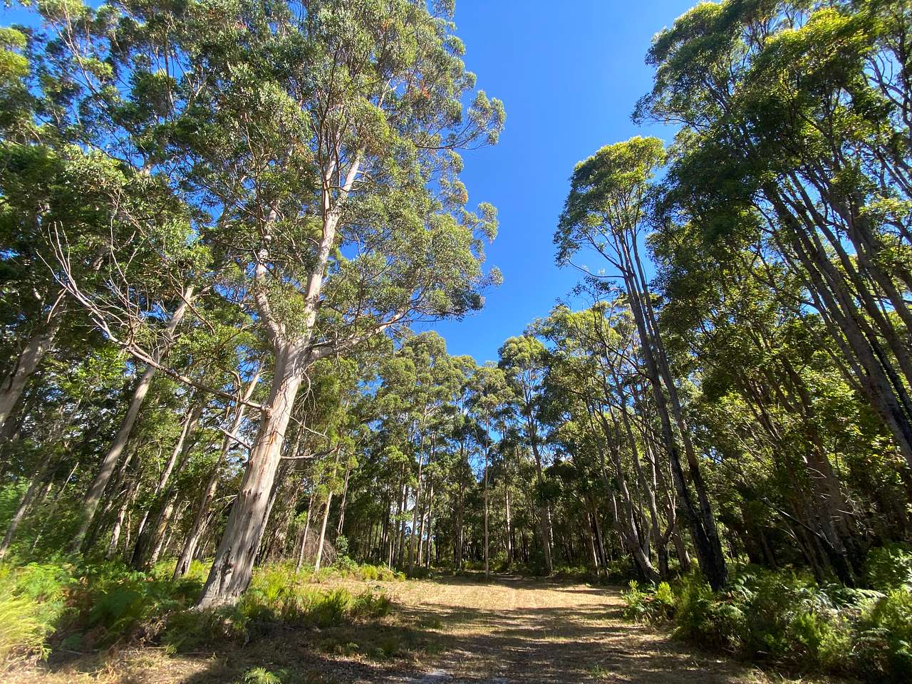 Jarrah Bridge Farm
