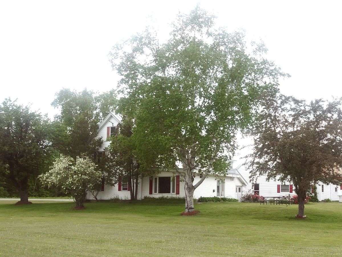 Pine Grove Lodge And Cabins
