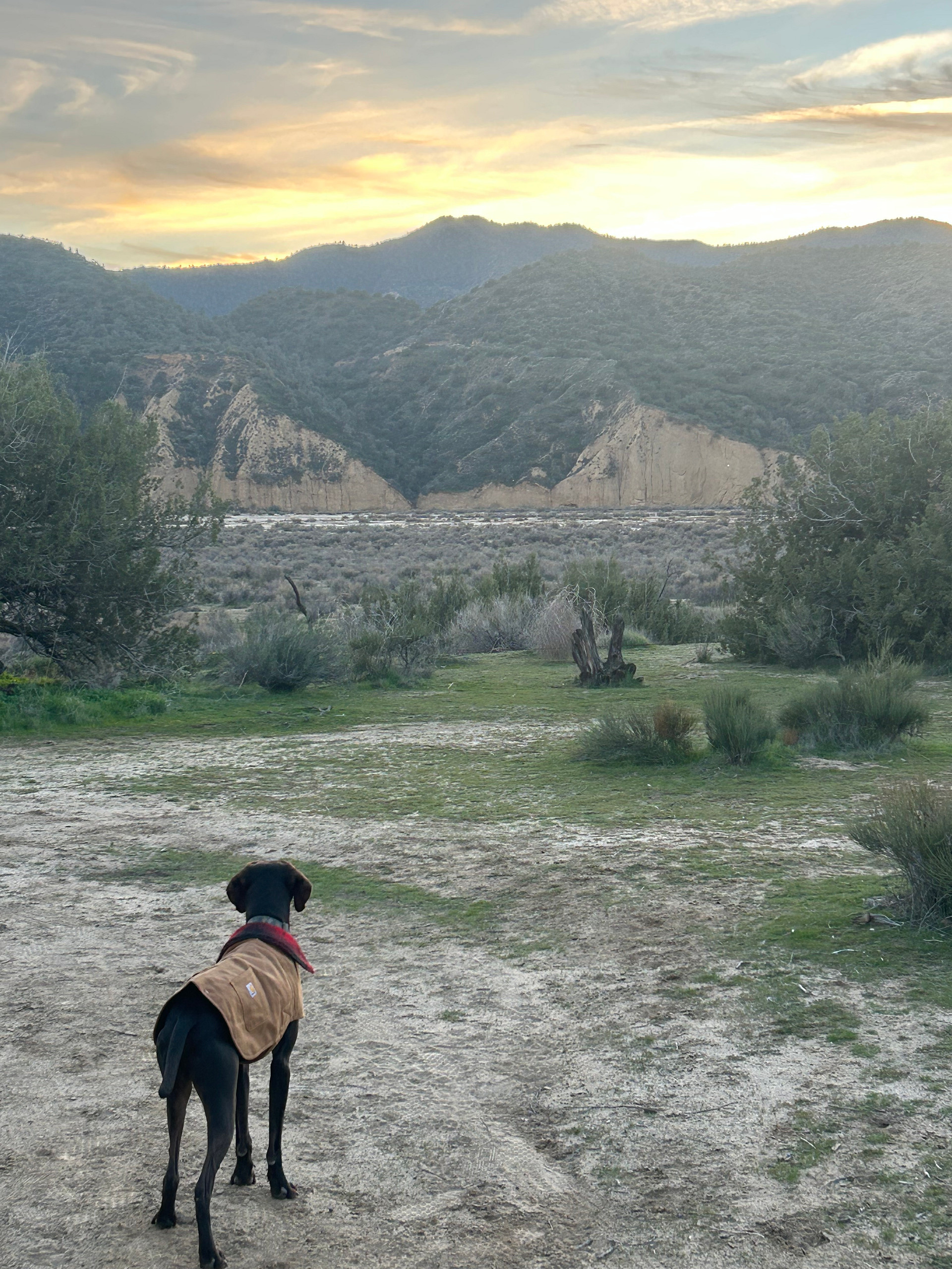 Campsite 1