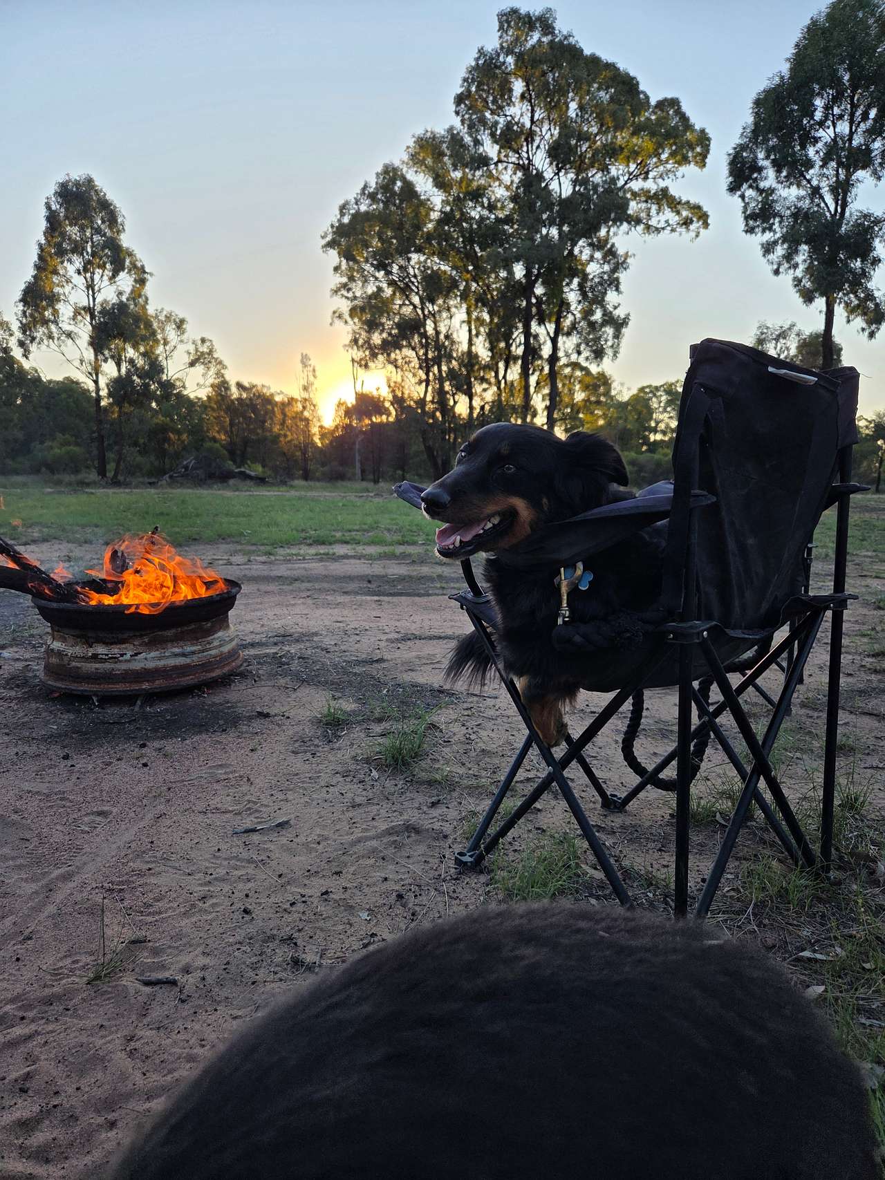 Roseaville Farm