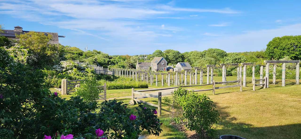 Spar Point Farm
