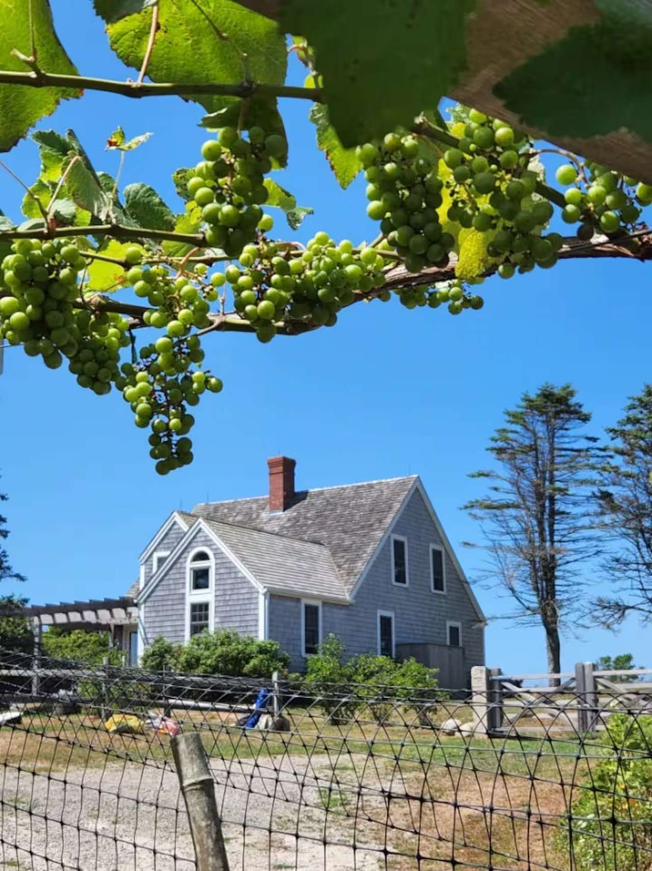 Spar Point Farm