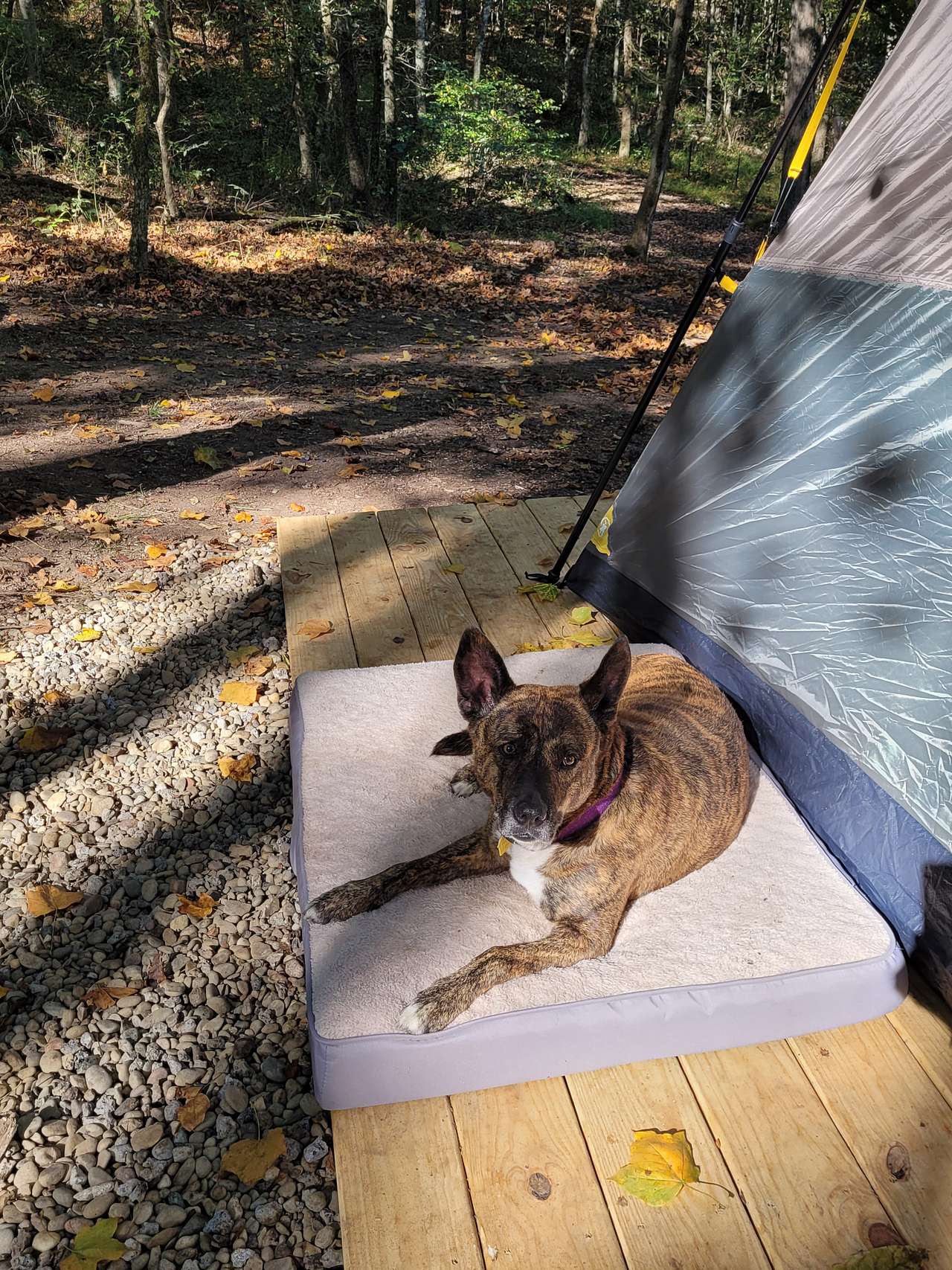 Loving my camping trip 