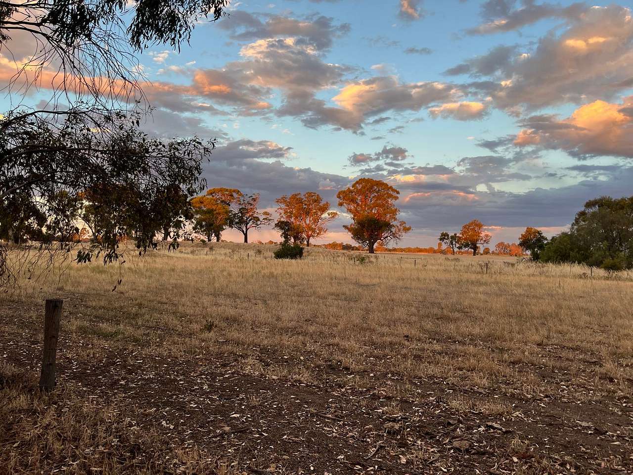 WD Heritage Acres