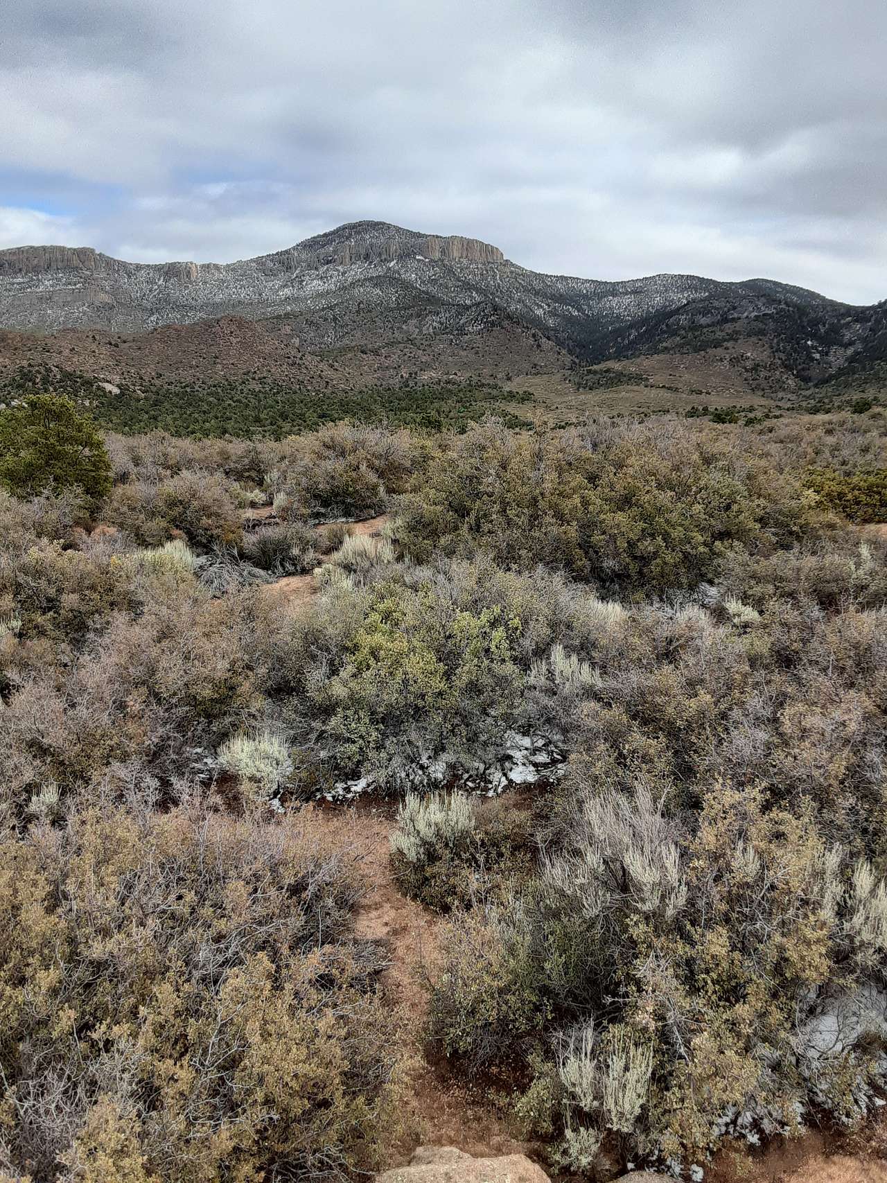 Juniper Tree Camp