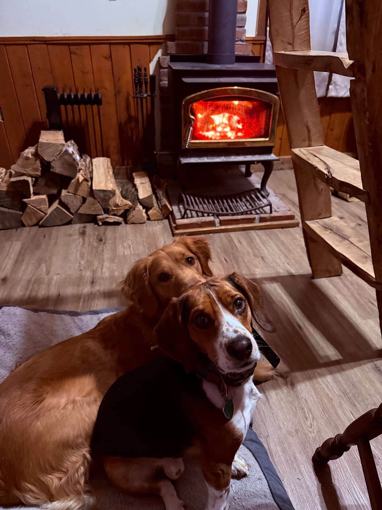 Pine Cone Cabin