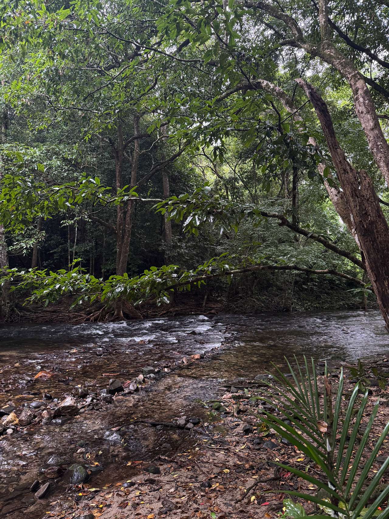 Little Mulgrave Holiday Camping