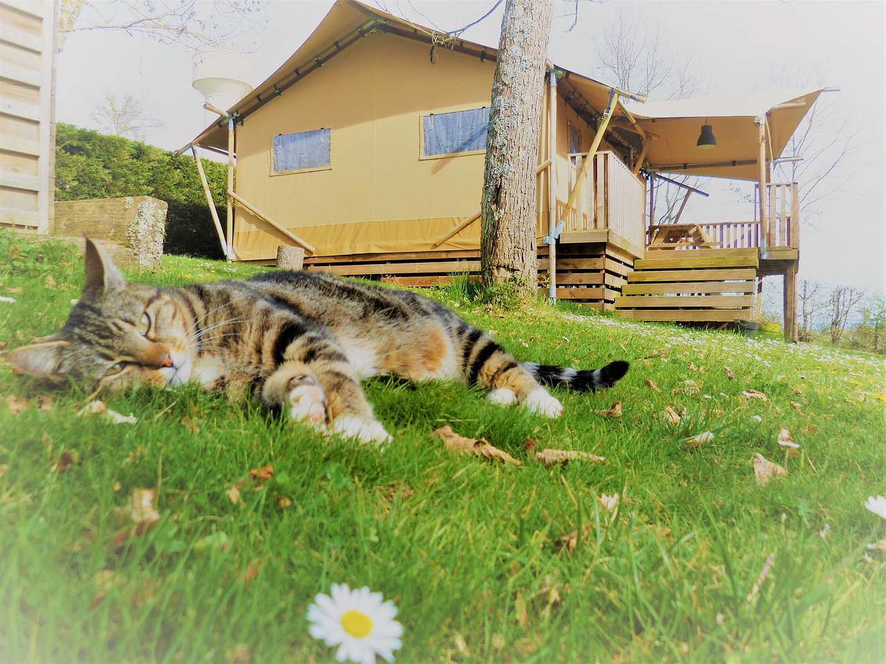 Camping Pré Fixe