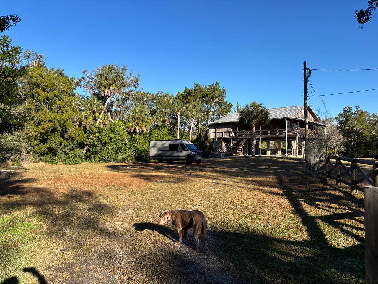 Homosassa River Escape