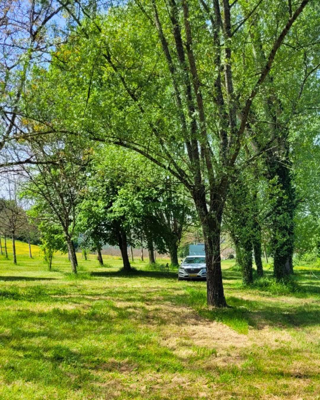 Camping Le Sorbier