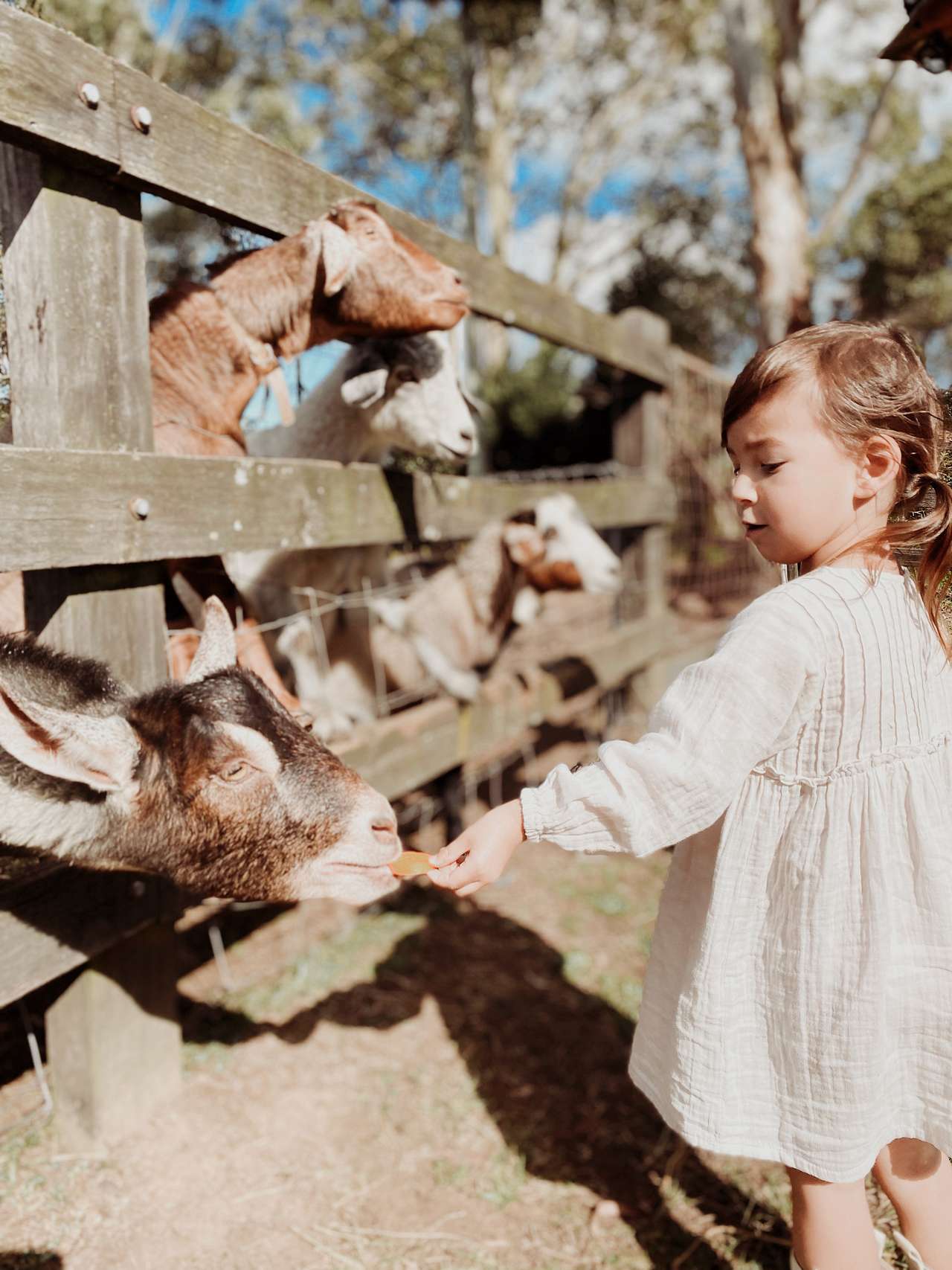Yarramalong Valley Horse Farmstay
