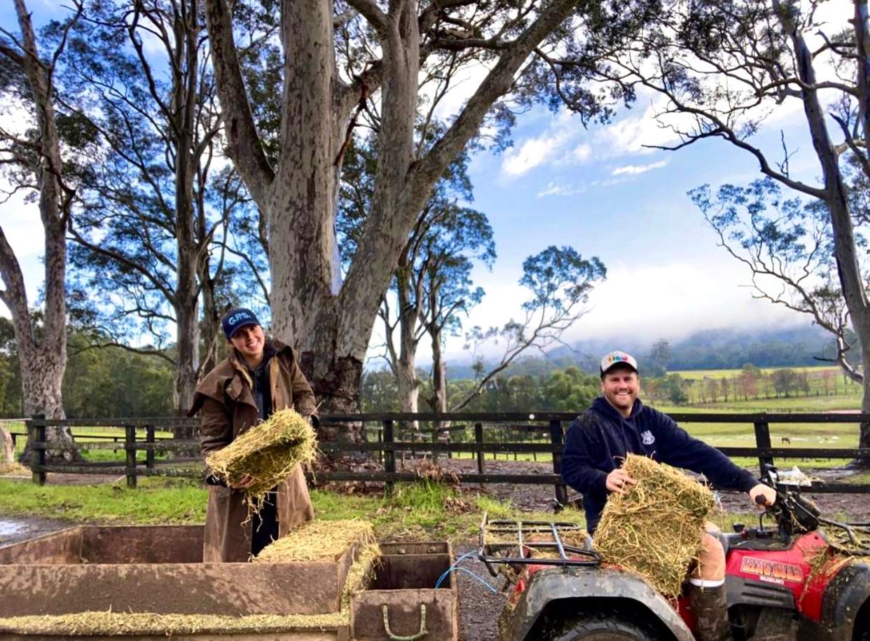 Yarramalong Valley Horse Farmstay
